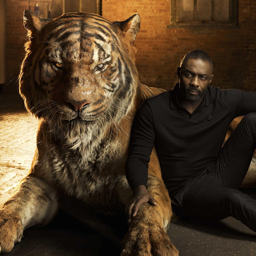 Hd-185024-ascw185024