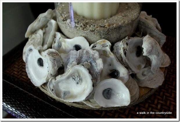 oyster candleholder