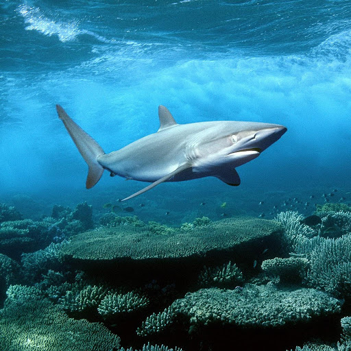 Hd-164456-ascw164456