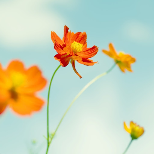 Hd-162572-ascw162572