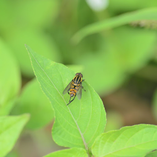 Hd-156492-ascw156492