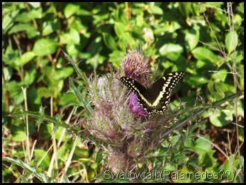 Hike to Chacala Pond 039