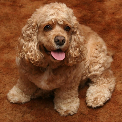 Hd-141558-ascw141558