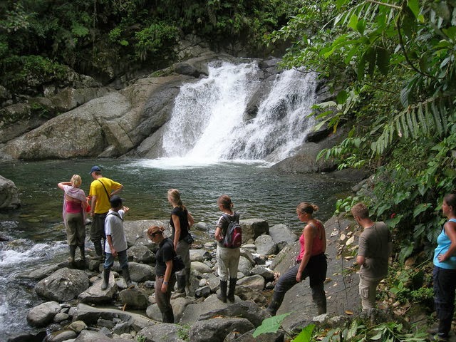Volunteers-Parque-Bambú-Ecuador