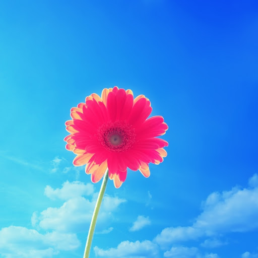 Hd-162727-ascw162727