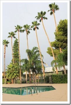 120729_Tucson_RiverparkInn2 120729_Tucson_RiverparkInn2