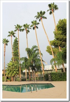 120729_Tucson_RiverparkInn2