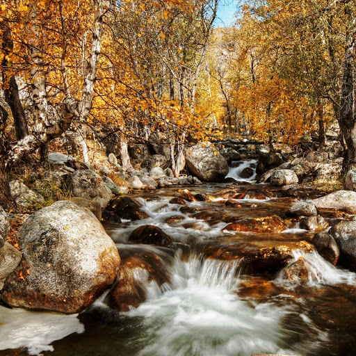 Hd-152359-ascw152359