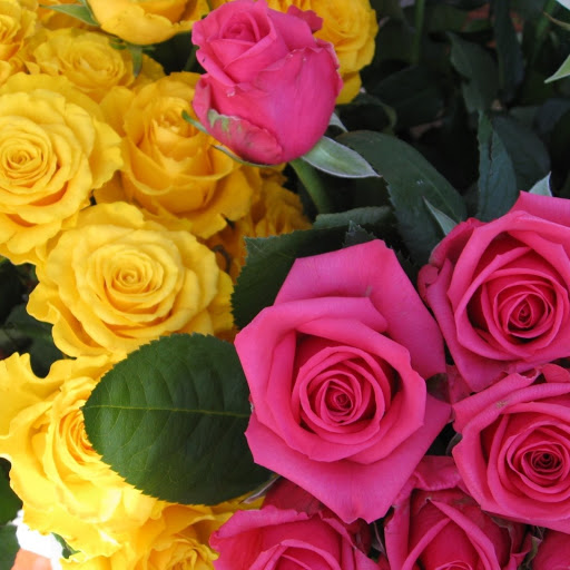 Hd-147144-ascw147144