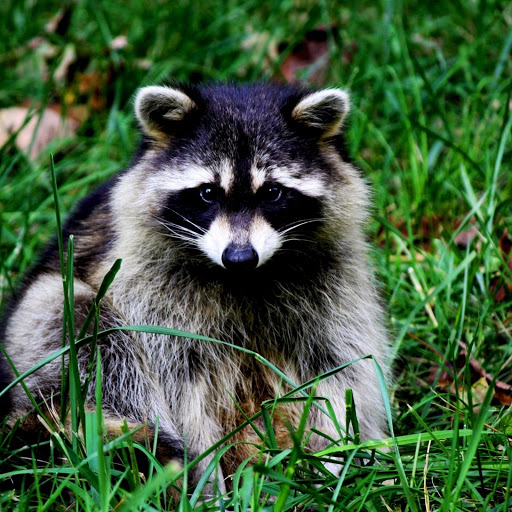 Hd-182240-ascw182240