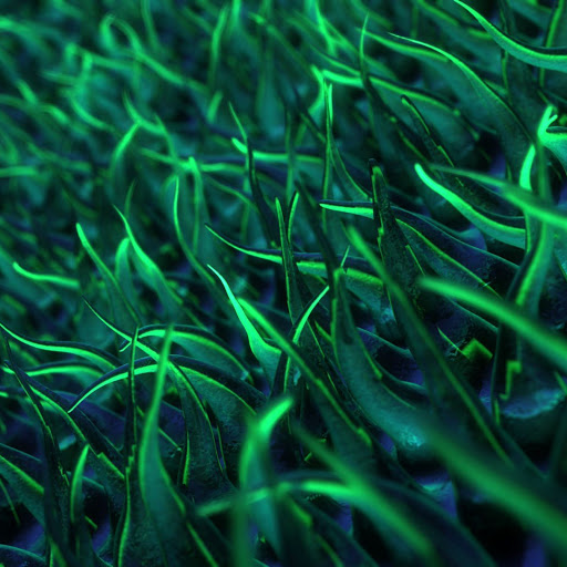 Hd-153836-ascw153836