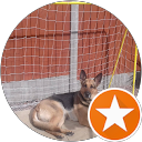 Kim Sengul profile picture