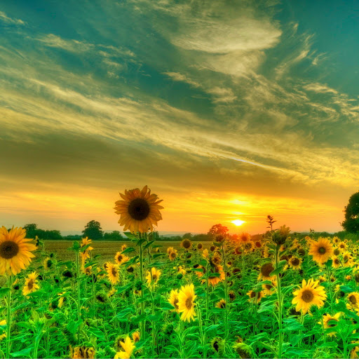 Hd-179827-ascw179827