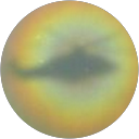 Antonio Gervasi profile picture