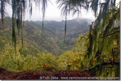 6822 Barranco Andén-Cueva Corcho(Barranco Andén) 6822 Barranco Andén-Cueva Corcho(Barranco Andén)