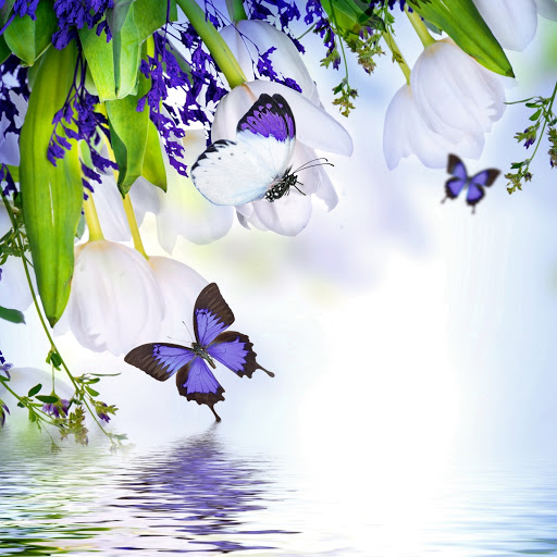 Hd-173717-ascw173717