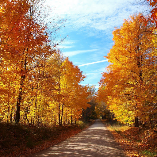 Hd-132251-ascw132251