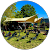 NYMA OUTDOOR GYM NYMA OUTDOOR GYM