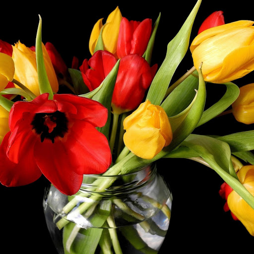 Hd-141211-ascw141211