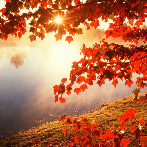 Hd-157403-ascw157403