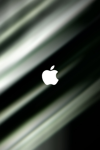 3176185839_11793af365