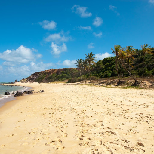 Hd-132498-ascw132498