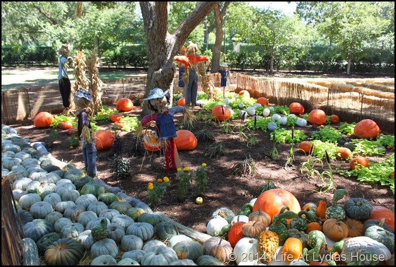 Dallas Arboretum - pumpkin festival-scarecrow garden 1