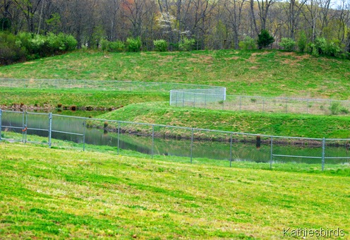 10a.Retention pond-kab