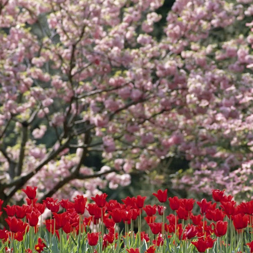 Hd-142991-ascw142991