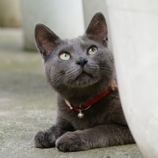 Hd-185620-ascw185620