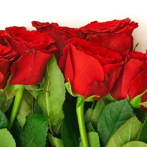 Hd-165519-ascw165519