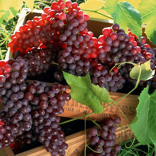 Hd-132348-ascw132348