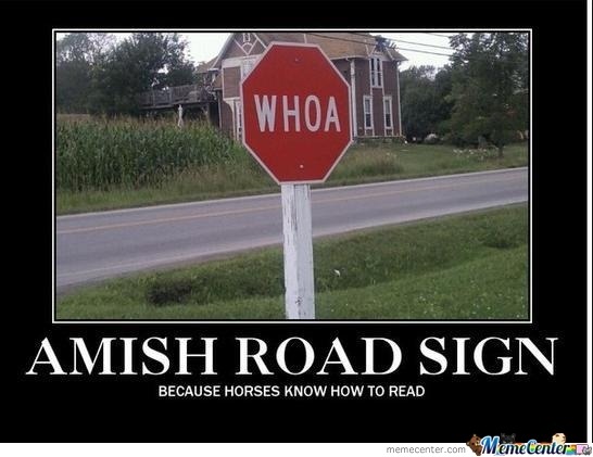 [amish-stop-sign4.jpg]