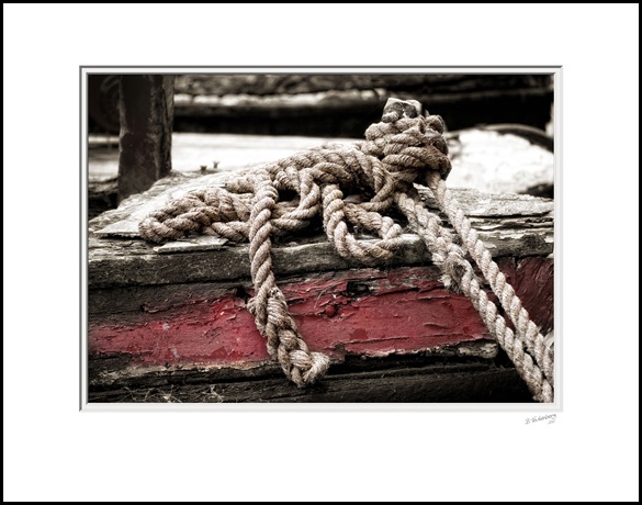 P1110655A-Rope-23x18inch-Print