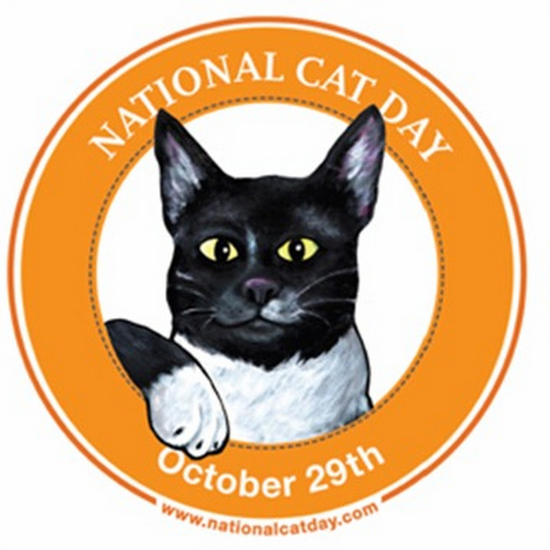 Día Nacional de los Gatos