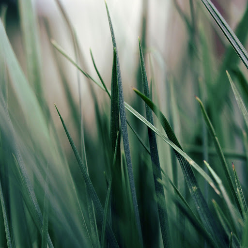 Hd-137964-ascw137964