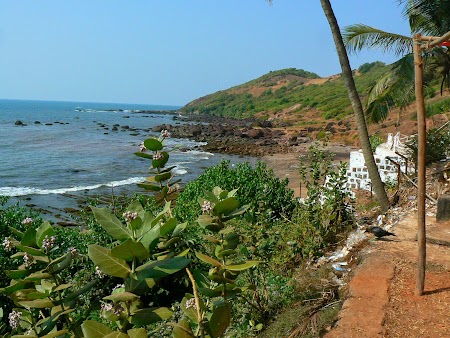 38. Plaja Anjuna - Goa.JPG