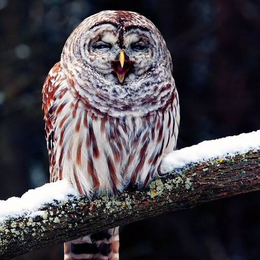 Hd-181269-ascw181269