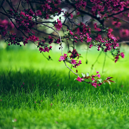 Hd-158780-ascw158780