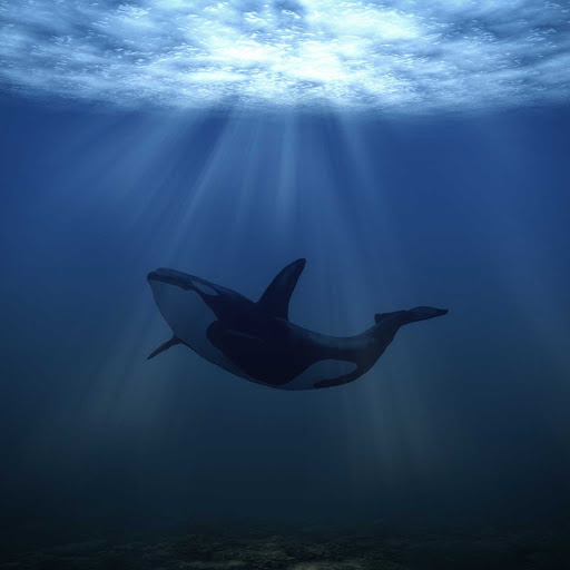 Hd-131738-ascw131738