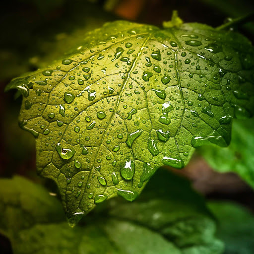 Hd-149120-ascw149120