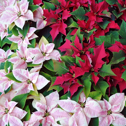 Hd-147474-ascw147474