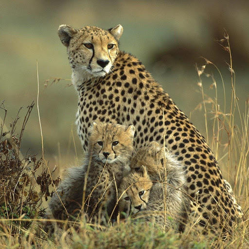 Hd-190848-ascw190848