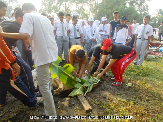 [DSCN8969%255B5%255D.jpg]