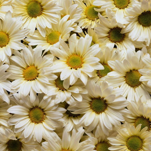 Hd-145422-ascw145422