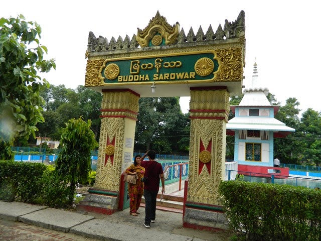 DSCN2204 DSCN2204