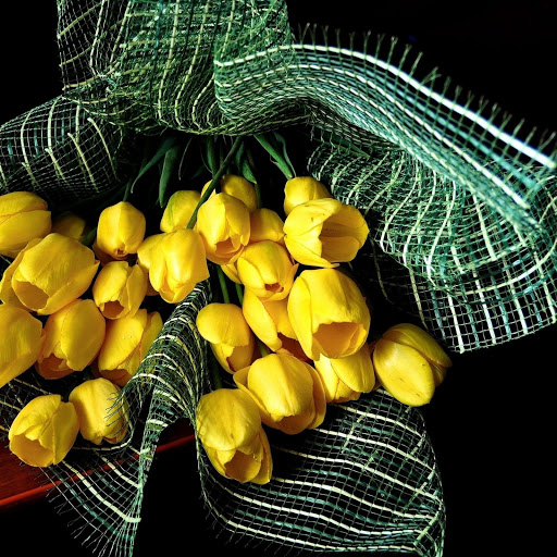 Hd-149170-ascw149170