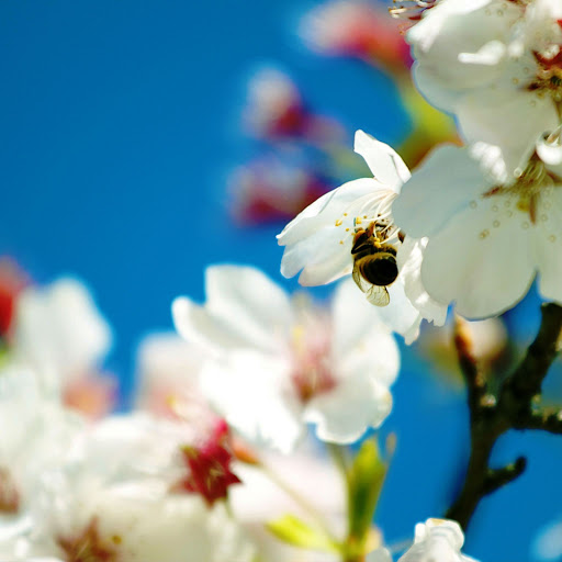 Hd-168237-ascw168237