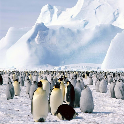 Hd-131941-ascw131941