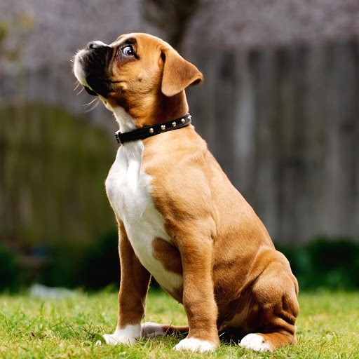 Hd-182226-ascw182226